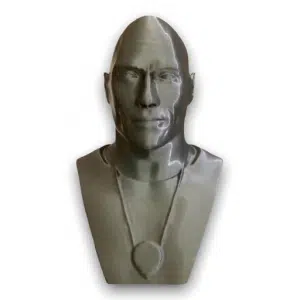 The Rock Bust Dwayne Johnson  Sculpture Statue