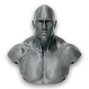 The Rock Bust Dwayne Johnson Sculpture statue
