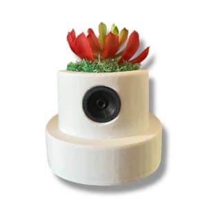 Spray can cap planter/flower pot