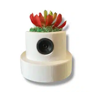 Spray can cap planter/flower pot