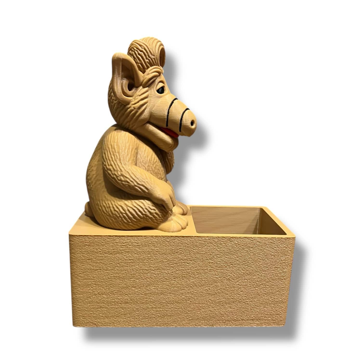 photoroom_003_20260102_152645